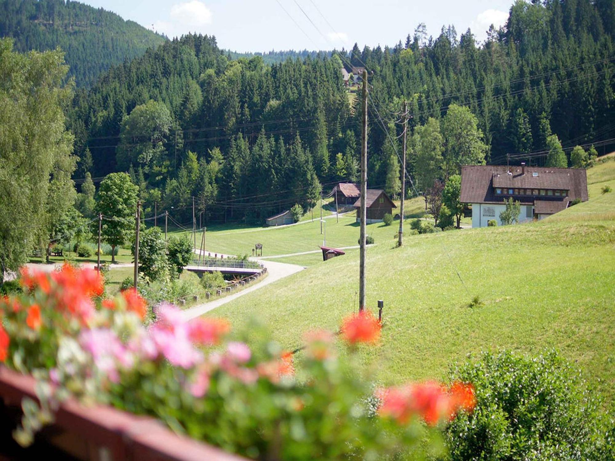 Gaestehaus Herrmann Bad Rippoldsau-Schapbach エクステリア 写真