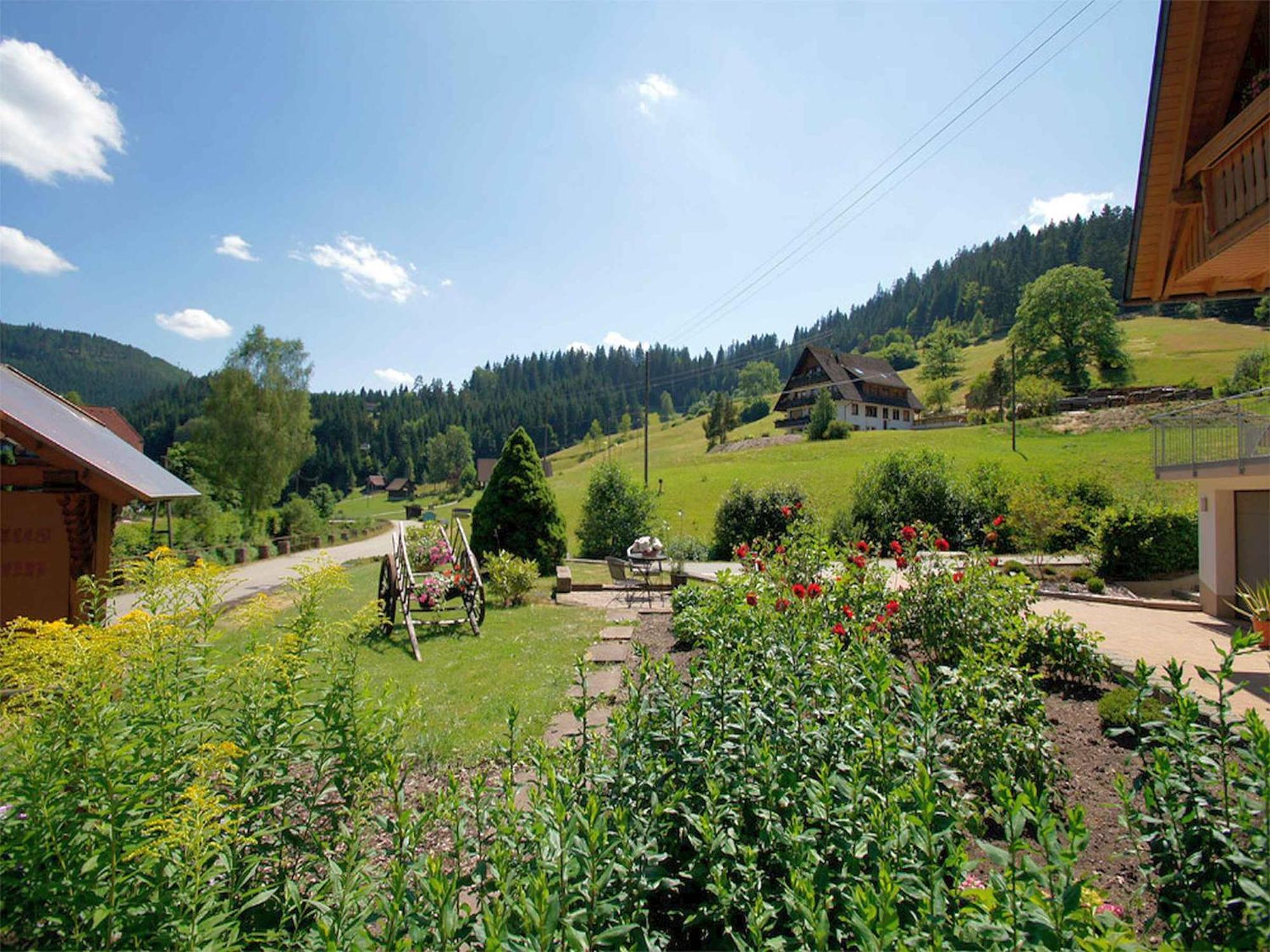 Gaestehaus Herrmann Bad Rippoldsau-Schapbach エクステリア 写真