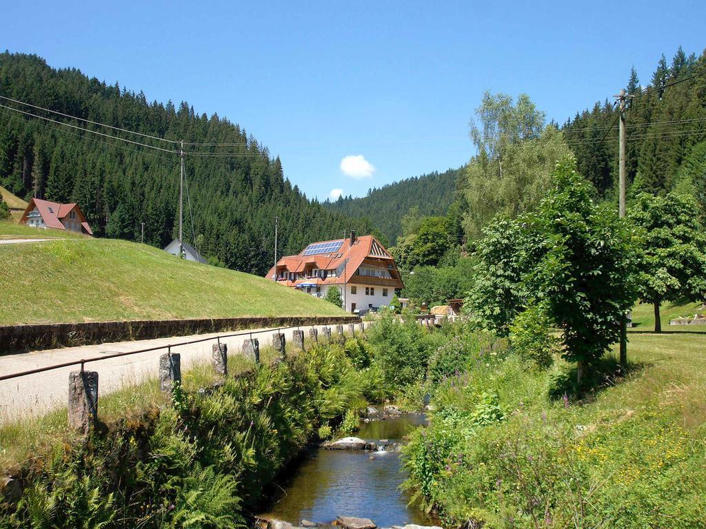 Gastehaus Herrmann Bad Rippoldsau-Schapbach エクステリア 写真